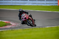 PJ-Motorsport-2019;anglesey;brands-hatch;cadwell-park;croft;donington-park;enduro-digital-images;event-digital-images;eventdigitalimages;mallory;no-limits;oulton-park;peter-wileman-photography;racing-digital-images;silverstone;snetterton;trackday-digital-images;trackday-photos;vmcc-banbury-run;welsh-2-day-enduro